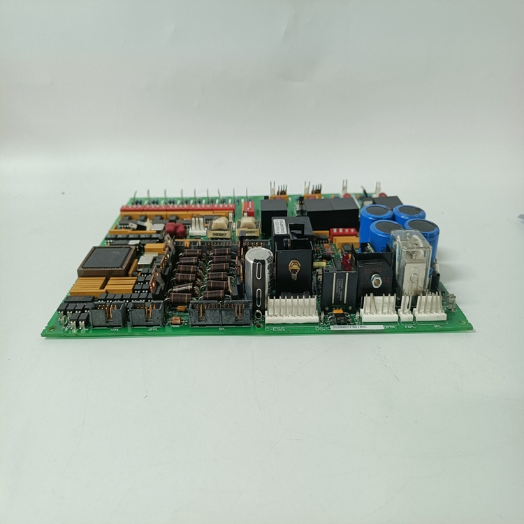 DS200DCFBG1BNC (3).jpg