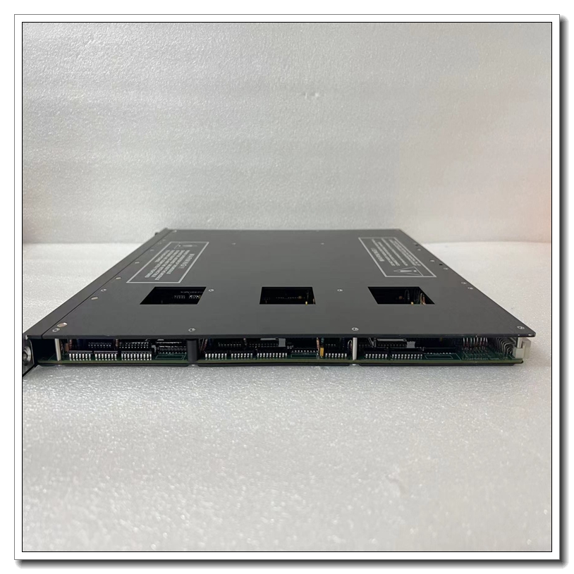 TRICONEX 3511 (10).jpg