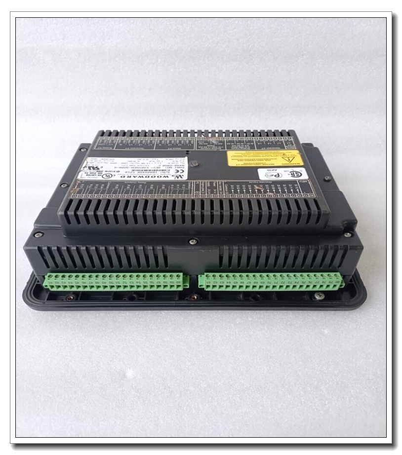 woodward EASYGEN 3200 3.jpg