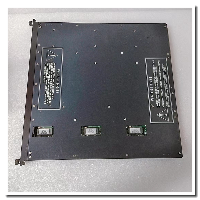 TRICONEX 3806E-4.jpg