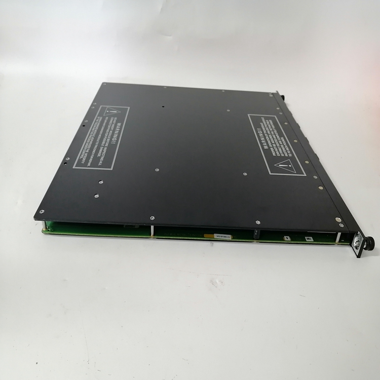 TRICONEX 4351B(3).jpg