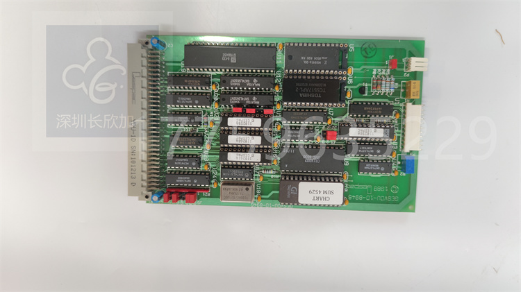 GESVDU-1D-8946.葉送惠.20230801_173450 (4).jpg