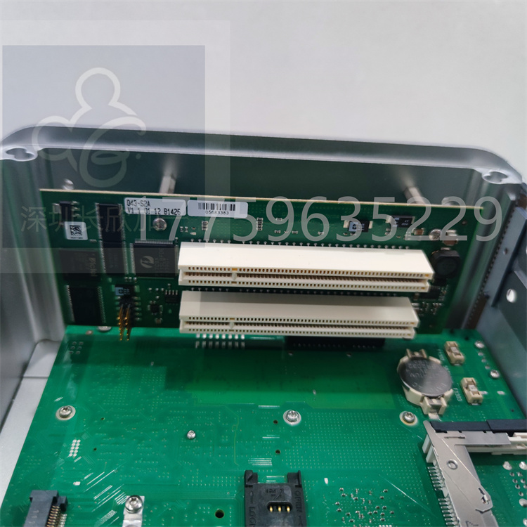 04220FL11232A.袁翠竹 (5).jpg