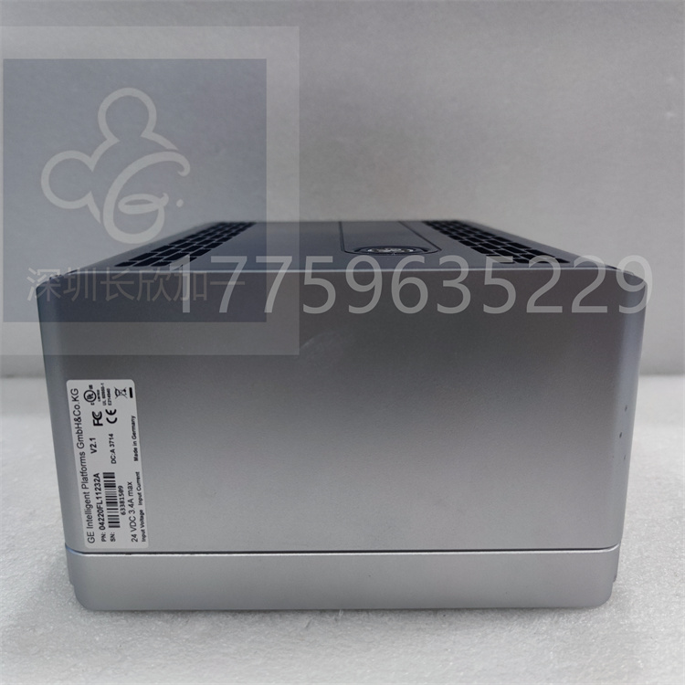 04220FL11232A.袁翠竹 (14).jpg