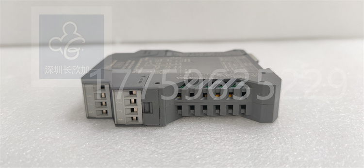 D1063S.葉送惠.20231106_162111 (4).jpg