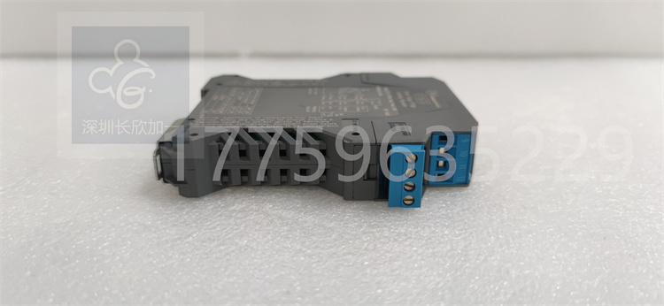 D1063S.葉送惠.20231106_162111 (2).jpg