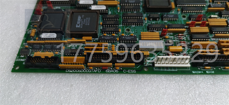 DS200SDCCG1AFD.葉送惠.20231120_172917 (2).jpg