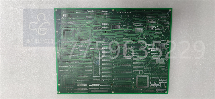 DS200SDCCG1AGD.葉送惠.20231120_171653 (3).jpg