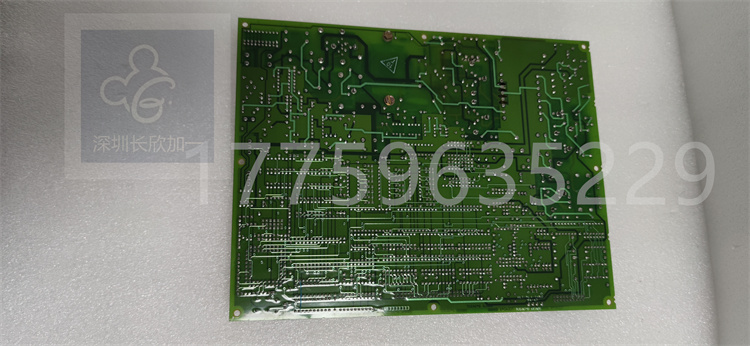 DS200TCEAG1BNE.李遠(yuǎn)明.20231114_150425 (7).jpg