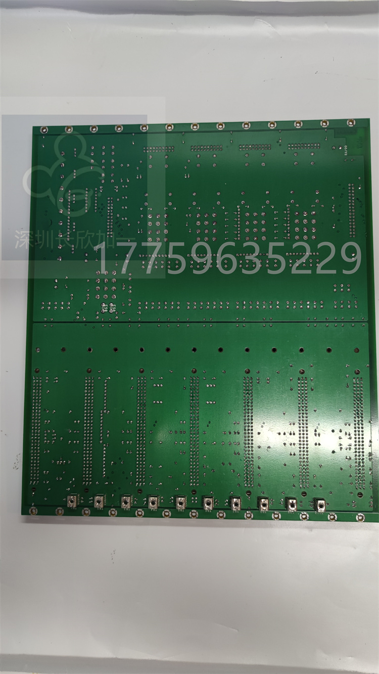 DS200VPBLG2A.李遠明.20230626_172246 (5).jpg