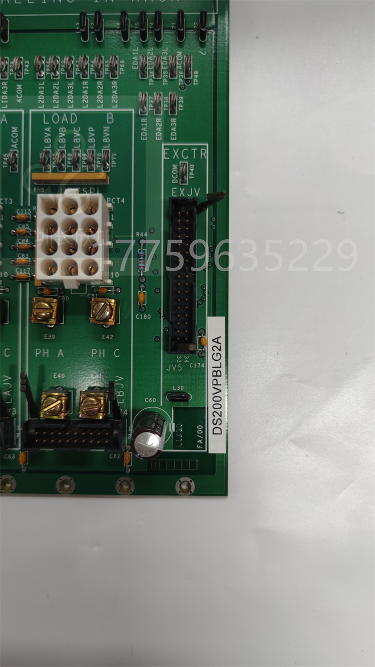 DS200VPBLG2A.李遠明.20230626_172246 (4).jpg