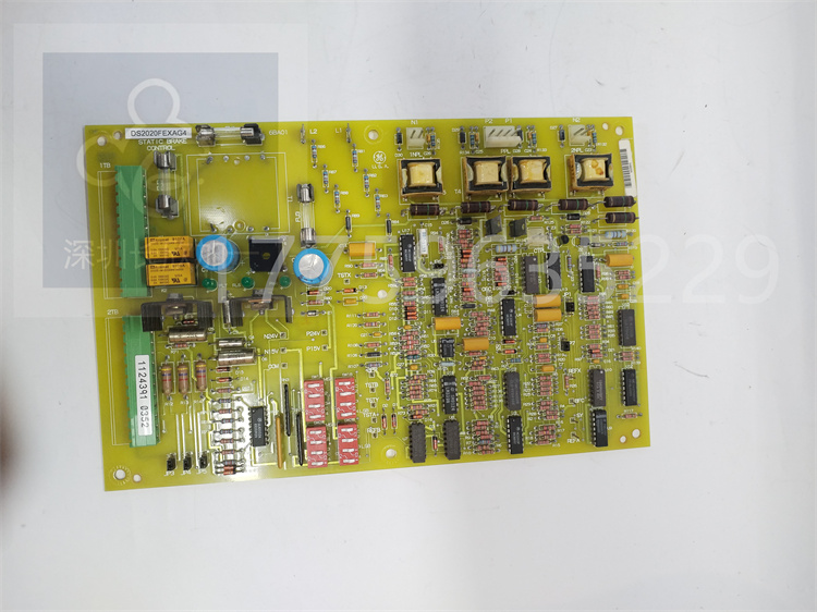 DS2020FEXAG4.肖仁娟.20230427 (3).jpg