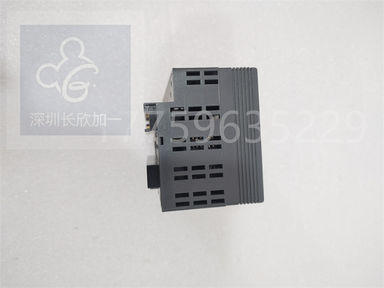 IC200ALG325.白佳樂.20240307 (1).jpg