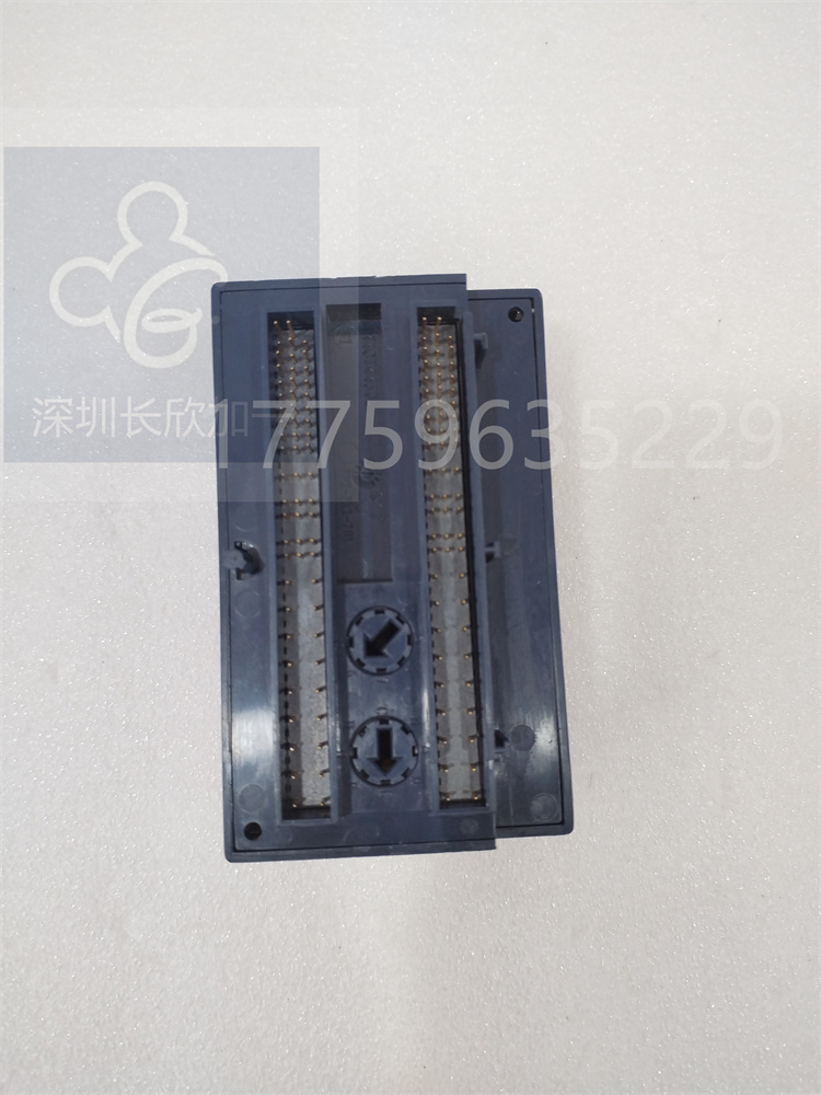 IC200ALG325.白佳樂.20240308 (3).jpg