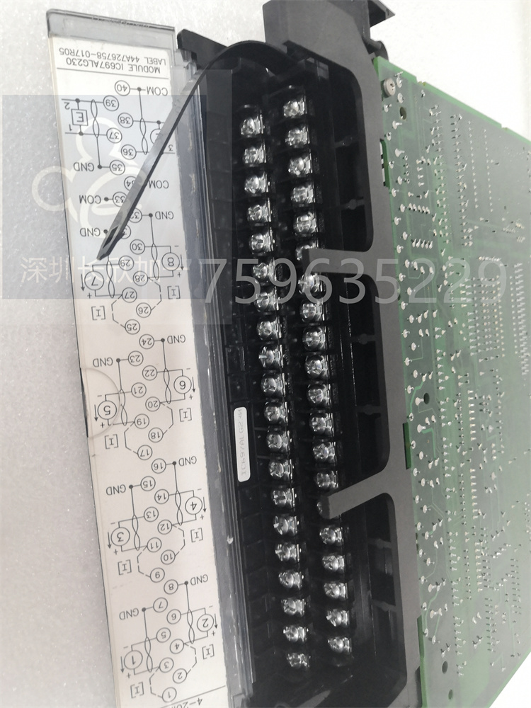 IC697ALG230.張興建.20210208_163442 (3).jpg