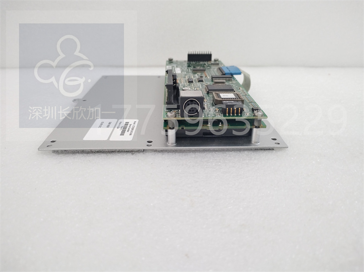 IC752SPL013.賴志平.20240102 (7).jpg